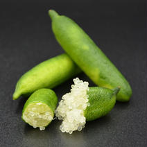 沖縄産 Inoやんばるライム シトラスダイヤ（50g／約4～8本） 50g 果物や野菜などのお取り寄せ宅配食材通販産地直送アウル