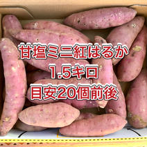 【鹿児島産】甘塩ミニサツマイモ箱込み1.5キロ^_^ 箱込み1.5キロ前後 果物や野菜などのお取り寄せ宅配食材通販産地直送アウル