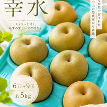 幸水の産地直送食材一覧（通販・お取り寄せ）-産直アウル