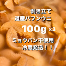 ✨剥き立てばふんうに✨　ミョウバン不使用バフンウニ100g×3 バフンウニ100g×3 果物や野菜などのお取り寄せ宅配食材通販産地直送アウル