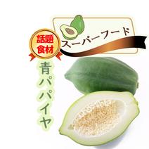 青パパイヤ《野菜パパイヤ》2kg 2kg（箱、梱包材込）4～6個入り 果物や野菜などのお取り寄せ宅配食材通販産地直送アウル