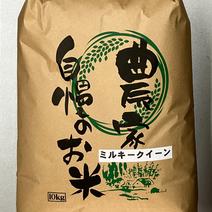 令和7年産新米入荷！お米農家さんから直接購入♪ ｜ 産直アウル 農家