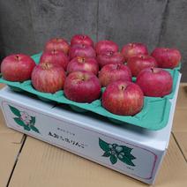 長野県 五輪久保産 ふじ 5kg贈答品16玉 5kg 果物や野菜などのお取り寄せ宅配食材通販産地直送アウル