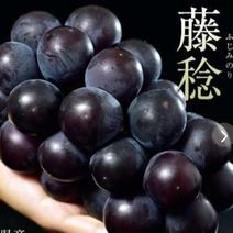 極上　藤稔家庭用（4房） 2キロ 果物や野菜などのお取り寄せ宅配食材通販産地直送アウル