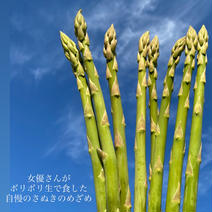 『優M〜L』女優さんが生で食べたアスパラ！ 朝採りさぬきのめざめ（優品1kg） 1kg 果物や野菜などのお取り寄せ宅配食材通販産地直送アウル