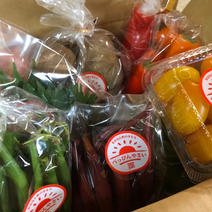 【旬のお野菜をお届けします🍀】自然栽培べっぴんやさいお楽しみBOX（60サイズ5種類） 5種類60サイズ 果物や野菜などのお取り寄せ宅配食材通販産地直送アウル