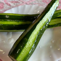 きゅうり1本漬け　群馬県東吾妻産　3本 きゅうり　3本 果物や野菜などのお取り寄せ宅配食材通販産地直送アウル