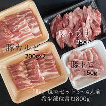 『豚』で焼肉セット3~4人前 800g（豚カルビ200gx2.豚トロ150g.豚ハラミ250g） 果物や野菜などのお取り寄せ宅配食材通販産地直送アウル