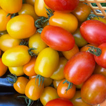 ミニトマト(アイコ) 約1kg 果物や野菜などのお取り寄せ宅配食材通販産地直送アウル