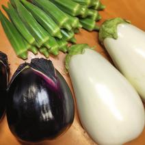 香川の伝統野菜『三豊なす』入り！とろける茄子＆オクラのセット 緑角オクラ400g とろーり旨なす1個　三豊なす1個 果物や野菜などのお取り寄せ宅配食材通販産地直送アウル