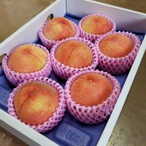 別格の横綱桃『一宮水蜜』【産直ギフト】 ２箱 果物や野菜などのお取り寄せ宅配食材通販産地直送アウル