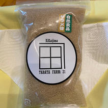 【国産】喜界島産ザラメ糖　300gと300gのセット　レターパックライト発送 300g＋300g   果物や野菜などのお取り寄せ宅配食材通販産地直送アウル
