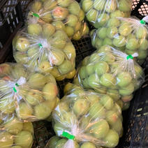 南高梅　１キロ １キロ 果物や野菜などのお取り寄せ宅配食材通販産地直送アウル