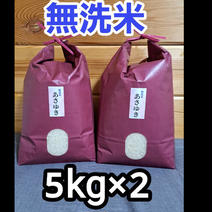 令和6年青森県産無洗米あさゆき5kg×2 5kg×2 果物や野菜などのお取り寄せ宅配食材通販産地直送アウル