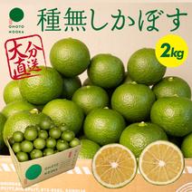 【標準】超便利な種無しかぼす2kg （約18～30個）【送料込】 種なしかぼす2kg 果物や野菜などのお取り寄せ宅配食材通販産地直送アウル