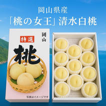 岡山産清水白桃　極みの一果 桃11個 果物や野菜などのお取り寄せ宅配食材通販産地直送アウル