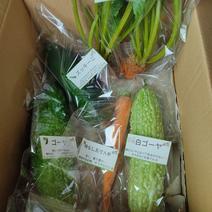 旬のお野菜セット（3～5品）クール便 旬のお野菜セット3～5品セット 果物や野菜などのお取り寄せ宅配食材通販産地直送アウル