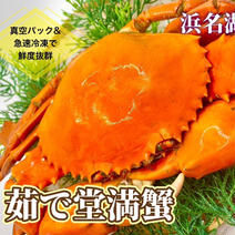 【幻のカニ】茹で堂満蟹(ドウマンガニ)　小サイズ400g以下 400g以下 果物や野菜などのお取り寄せ宅配食材通販産地直送アウル