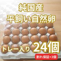 【トレー入り｜合計27個（24個+割れ保障3個）】とれたて純国産平飼い自然卵（有精卵）全て国産・添加物／保存料不使用｜大自然の恵みをそのまま提供 27個 果物や野菜などのお取り寄せ宅配食材通販産地直送アウル