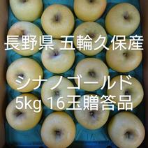 長野県 五輪久保産 シナノゴールド 5kg 16玉贈答品 5kg 果物や野菜などのお取り寄せ宅配食材通販産地直送アウル