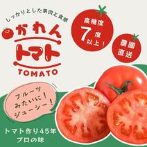 トマトの産地直送商品一覧（通販・お取り寄せ）-産直アウル