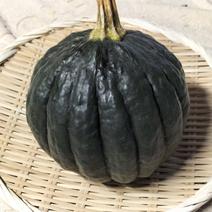 鉄かぶとの野菜セット（５品目以上） 約1.5〜3kg/80サイズダンボール 果物や野菜などのお取り寄せ宅配食材通販産地直送アウル
