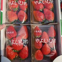 【売り尽くしセール】サイズおまかせ！やよいひめ　お得な2箱×8パック 2箱（300g×8パック） 果物や野菜などのお取り寄せ宅配食材通販産地直送アウル