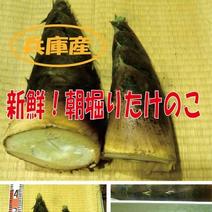 たけのこの産地直送商品一覧（通販・お取り寄せ）-産直アウル
