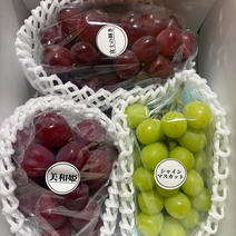 ぶどう食べくらべの産地直送食材一覧（通販・お取り寄せ）-産直アウル
