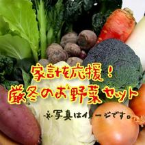 家計を応援！厳冬のお野菜セットお野菜15品前後 お野菜15品前後 果物や野菜などのお取り寄せ宅配食材通販産地直送アウル