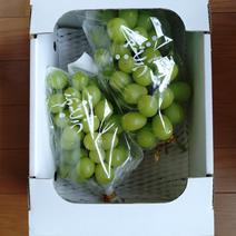 訳あり食材・商品 ｜ 【産直アウル】生産者の応援にも繋がる新鮮食材の