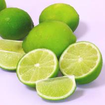国産ライム 2kg  【Ａ・B品混同品】 lime 果実 柑橘 ライム　2kg 果物や野菜などのお取り寄せ宅配食材通販産地直送アウル