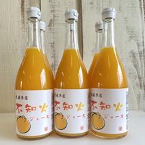 はまださんちのミカンジュース（不知火・ストレート） 720ml×6本セット 果物や野菜などのお取り寄せ宅配食材通販産地直送アウル