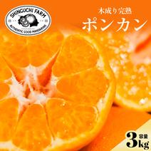 ポンカンの産地直送商品一覧（通販・お取り寄せ）-産直アウル