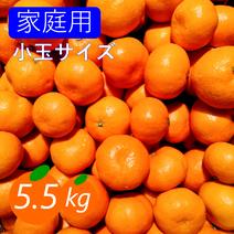 果物の産地直送商品一覧（通販・お取り寄せ）-産直アウル