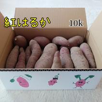 熟成さつまいも　紅はるか10k 10k 果物や野菜などのお取り寄せ宅配食材通販産地直送アウル