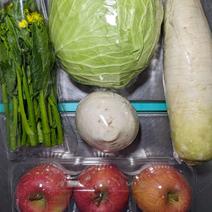 キャベツ、ダイコン、カブ、アスパラ菜、リンゴ 約3.8kg 果物や野菜などのお取り寄せ宅配食材通販産地直送アウル