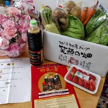 鶴が愛した地で育てた「いずみのやさい」詰め合わせわせ かわいい箱（１０kg）に、平均１０〜１３種類の野菜等を詰め合わすように努めていますが、特産館いずみの産地の値段で詰め合わせています。 果物や野菜などのお取り寄せ宅配食材通販産地直送アウル