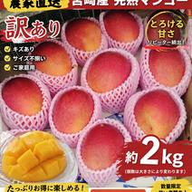 宮崎県｜産直アウル 産地直送宅配通販サイト