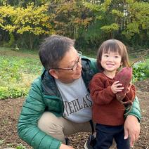紅はるか(8Kg) 8kg 果物や野菜などのお取り寄せ宅配食材通販産地直送アウル
