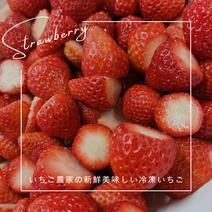(冷凍)新鮮冷凍いちご^^採れたて!! 1kg以上 果物や野菜などのお取り寄せ宅配食材通販産地直送アウル