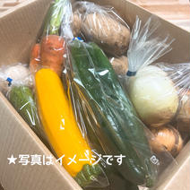 お野菜詰め合わせセット 80サイズ【野菜5~7品目】 果物や野菜などのお取り寄せ宅配食材通販産地直送アウル