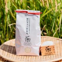 子どもたちの毎日を笑顔にするお米♪mama-yasai コシヒカリ【玄米】玄米１０kg 玄米１０kg 果物や野菜などのお取り寄せ宅配食材通販産地直送アウル