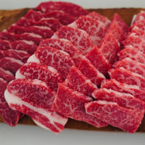 【希少部位セレクト】佐賀県産和牛の焼肉食べ比べセット 4-6人前 焼肉450g×2 果物や野菜などのお取り寄せ宅配食材通販産地直送アウル