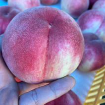 暁　A品　2k箱 もも5〜7玉 果物や野菜などのお取り寄せ宅配食材通販産地直送アウル