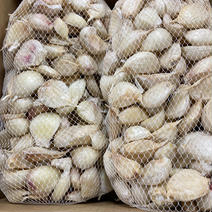 岩手県産にんにくバラ小・中込み 2k 果物や野菜などのお取り寄せ宅配食材通販産地直送アウル