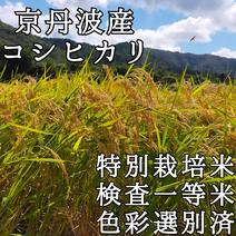 【セール】コシヒカリ　玄米10kg 特別栽培米　令和4年産 京丹波産 【販売期間外】玄米10kg 果物や野菜などのお取り寄せ宅配食材通販産地直送アウル