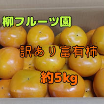 《柳フルーツ園》訳あり富有柿 約5kg 約5kg 果物や野菜などのお取り寄せ宅配食材通販産地直送アウル
