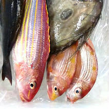 季節の鮮魚詰め合わせ 15匹くらい 果物や野菜などのお取り寄せ宅配食材通販産地直送アウル