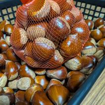 栗の産地直送食材一覧（通販・お取り寄せ）-産直アウル
